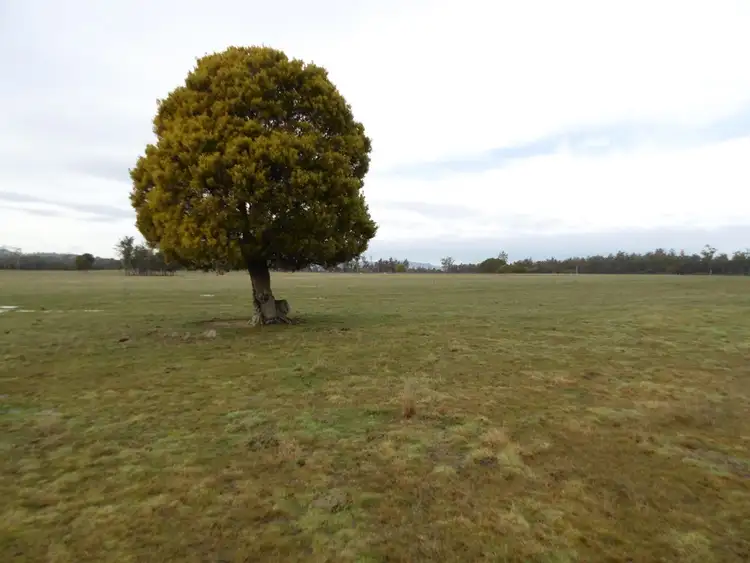Sixth view of Homely rural property listing, 519 Felmingham Road, Parkham TAS 7304