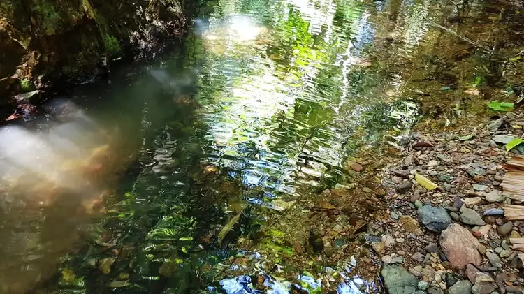 Second view of Homely land listing, Lot 514 Silver Ash Road, Daintree QLD 4873
