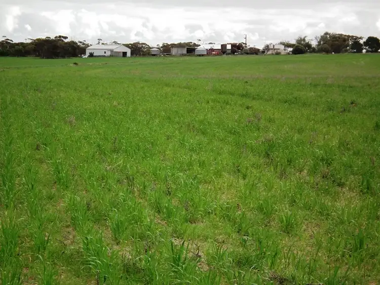 Sixth view of Homely rural property listing, Taragoro Road, Rudall, Cleve SA 5640