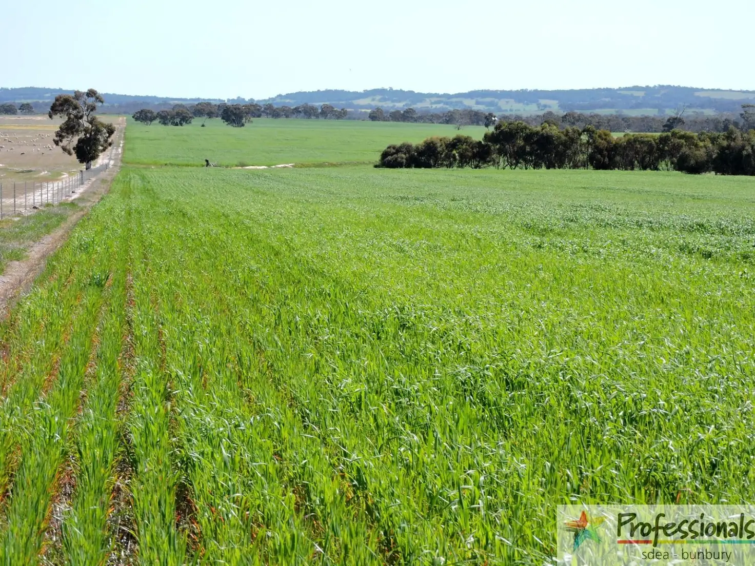 Main view of Homely rural property listing, 3933 & 3541 Bunmulling Road, Popanyinning WA 6309