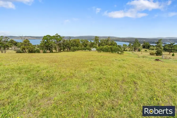 45 Burton Street, Hillwood TAS 7252