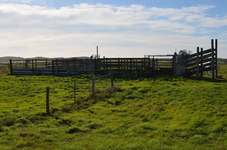 Third view of Homely rural property listing, 3667 Southern Ports Highway, Robe SA 5276