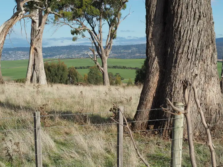 Fifth view of Homely land listing, 39 Peddie Drive, Dilston TAS 7252