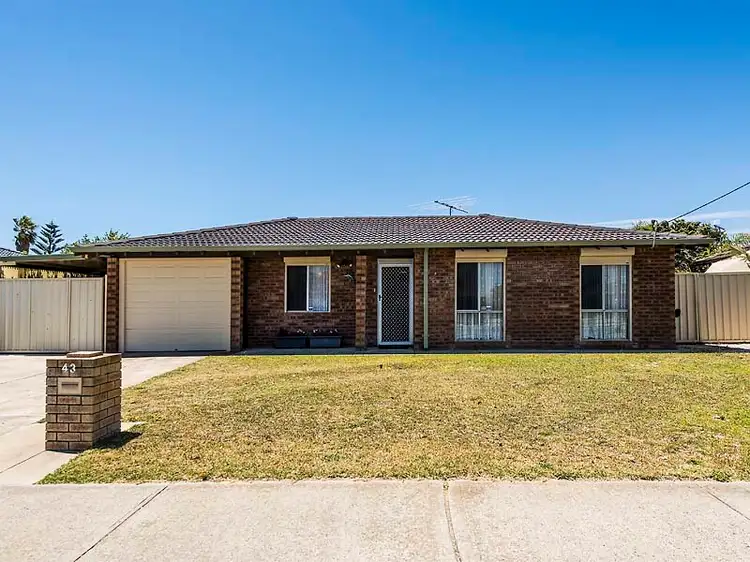 Main view of Homely house listing, 43 Willmott Drive, Cooloongup WA 6168