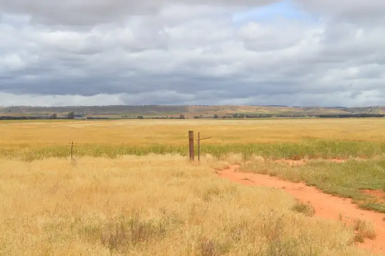 Sixth view of Homely rural property listing, 2547 Black Springs Road, Robertstown SA 5381