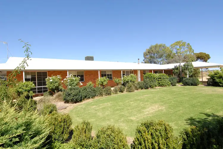 Main view of Homely house listing, 41 Aratula Road, Deniliquin NSW 2710