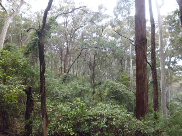 Third view of Homely rural property listing, Lot 5 Goat's Knob Road, Tathra NSW 2550