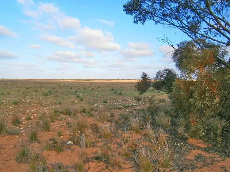 Third view of Homely rural property listing, Lot 3 Naidia Road, Swan Reach SA 5354