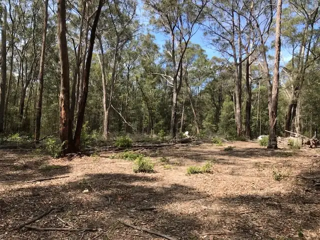 Fourth view of Homely rural property listing, 550 Bugong Road, Budgong NSW 2577