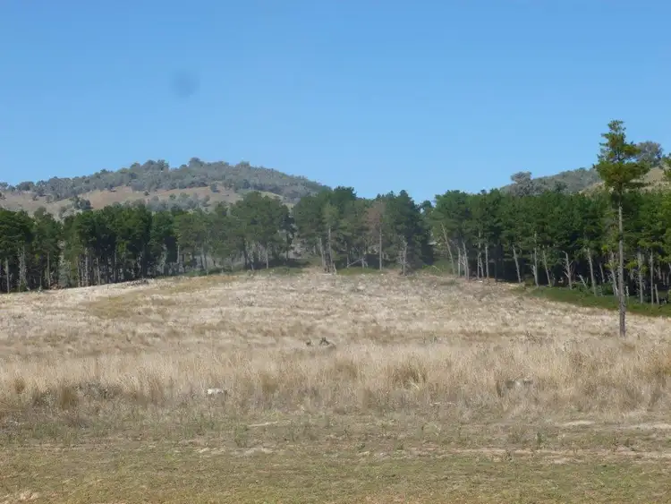 Fourth view of Homely rural property listing, Lot 4 Hindleton Road, Bullioh VIC 3700