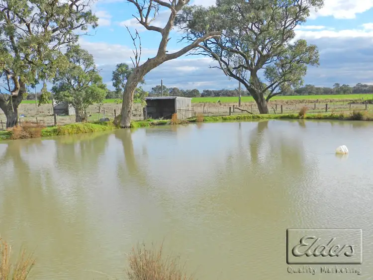 Sixth view of Homely house listing, 286 Yarrawalla East Road, Yarrawalla VIC 3575