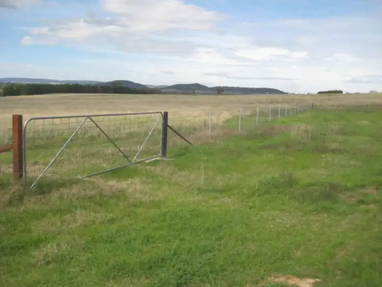 Seventh view of Homely rural property listing, 301 Robinsons  Road, Young NSW 2594
