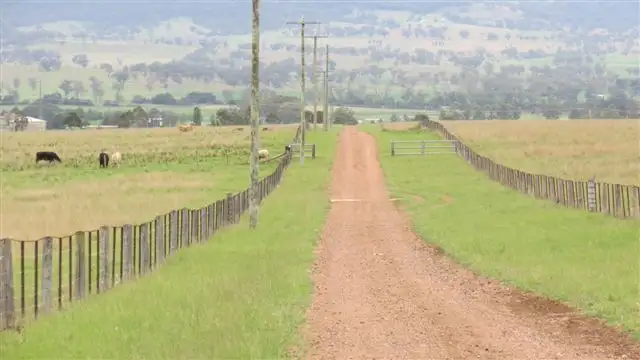 Second view of Homely rural property listing, 115 Milford Hills Lane, Scone NSW 2337