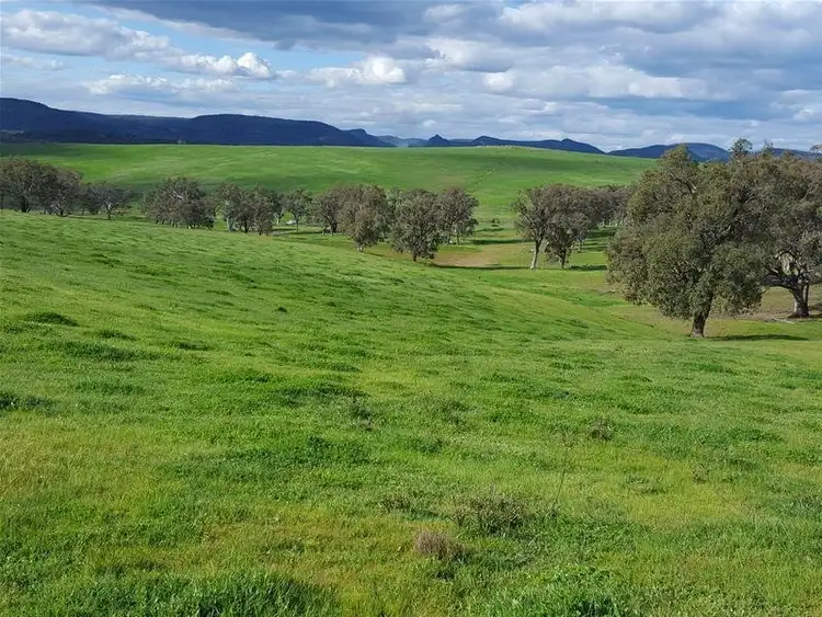 Fourth view of Homely rural property listing, 3142 Lue Road, Mudgee NSW 2850