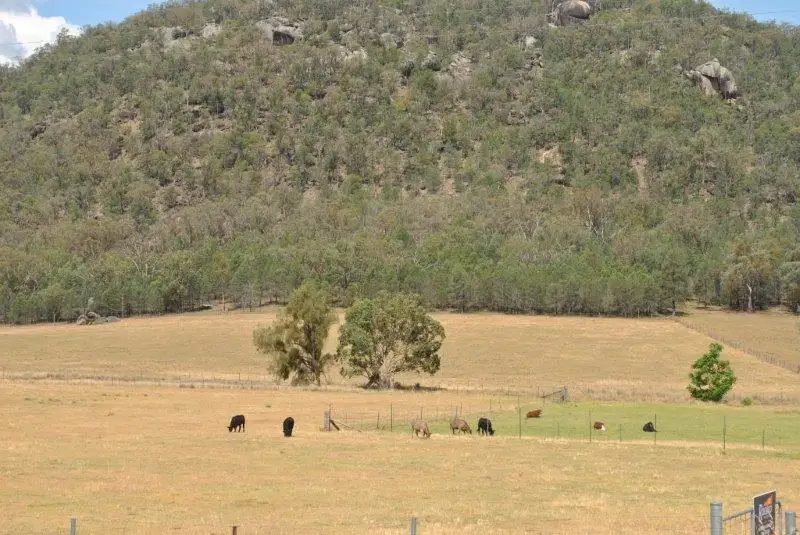 Main view of Homely rural property listing, 217 Gaol Creek Road, Tamworth NSW 2340