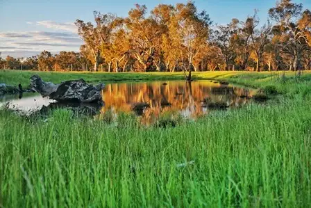 Second view of Homely land listing, Lot 10 Sturt Highway, Gillenbah, Narrandera NSW 2700