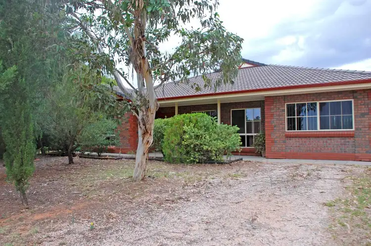 Second view of Homely house listing, 117 Orroroo Street, Renmark SA 5341