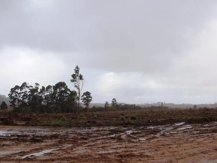 Fifth view of Homely rural property listing, Lots Richardson Road, Northcliffe WA 6262