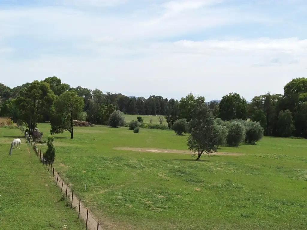 Main view of Homely house listing, 162 Market Street, Mudgee NSW 2850