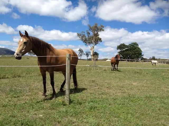Main view of Homely land listing, 45 Grevillea Grove, Rylstone NSW 2849
