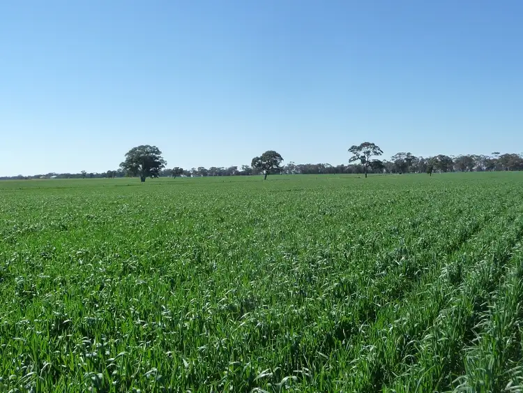 1295 Ozenkadnook Mortat Road, Edenhope VIC 3318