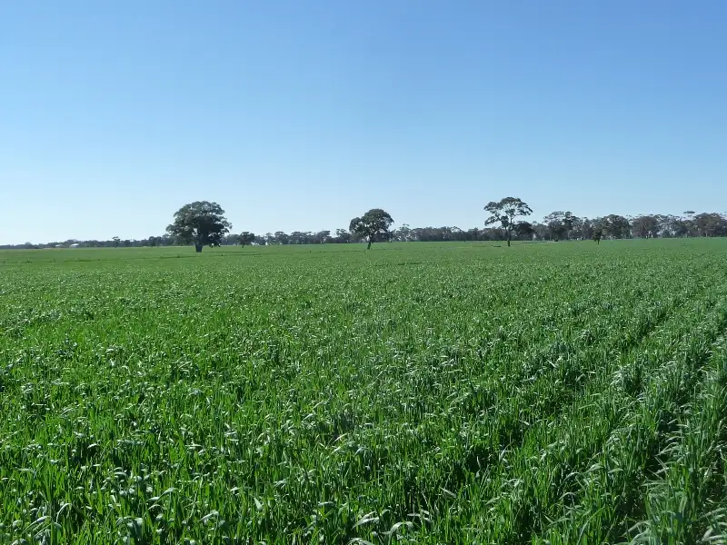Main view of Homely rural property listing, 1295 Ozenkadnook Mortat Road, Edenhope VIC 3318
