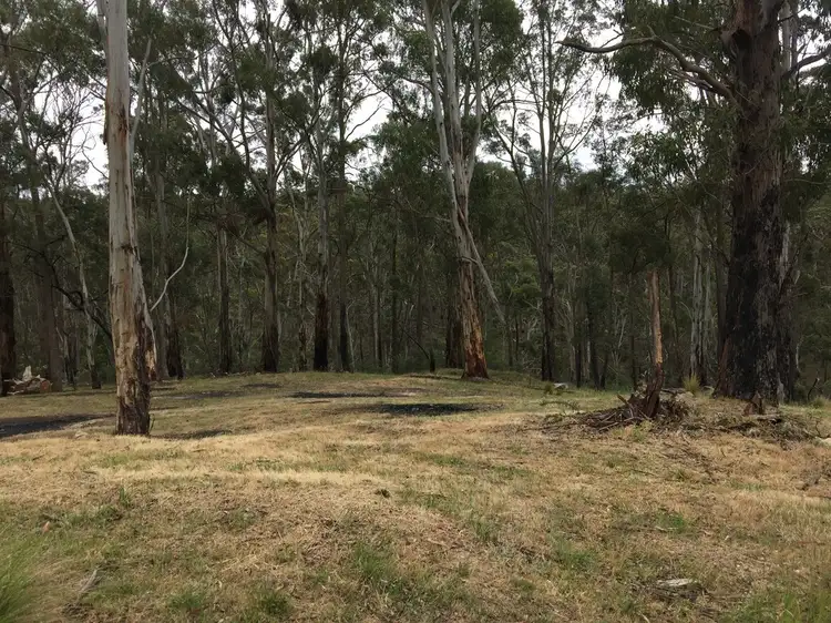 Sixth view of Homely land listing, 195 Old Ballarat Road, Sailors Hill VIC 3461