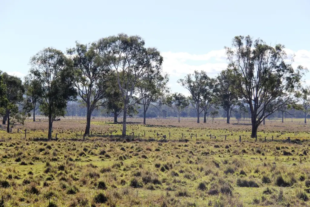 Main view of Homely rural property listing, Address available on request