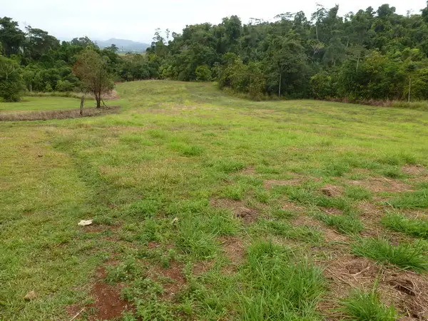 Main view of Homely rural property listing, Address available on request