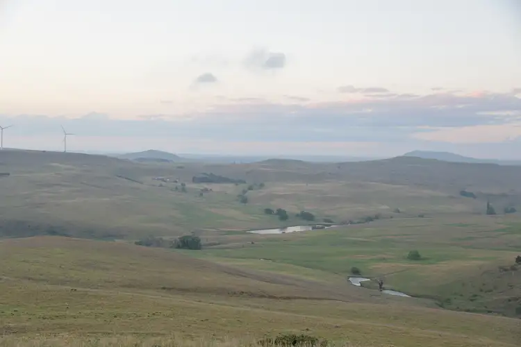 Seventh view of Homely rural property listing, 'ROCKYBAH' Springfield Rd, Nimmitabel NSW 2631