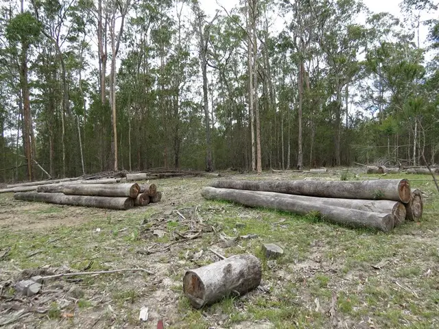 Sixth view of Homely rural property listing, 3456 Blacksmiths Shop Rd, Newton Boyd NSW 2370