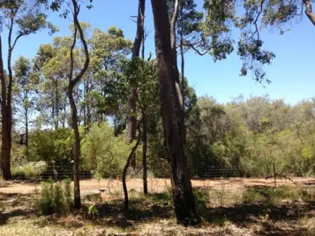 Fourth view of Homely land listing, 22 (Lot 340) Honeysuckle Glen, Cowaramup WA 6284