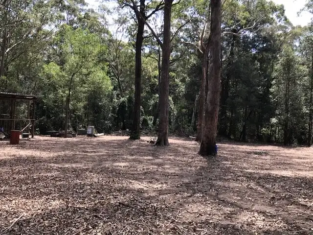 Fifth view of Homely rural property listing, 550 Bugong Road, Budgong NSW 2577