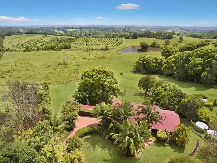 621 Pearces Creek Road, Alstonvale NSW 2477