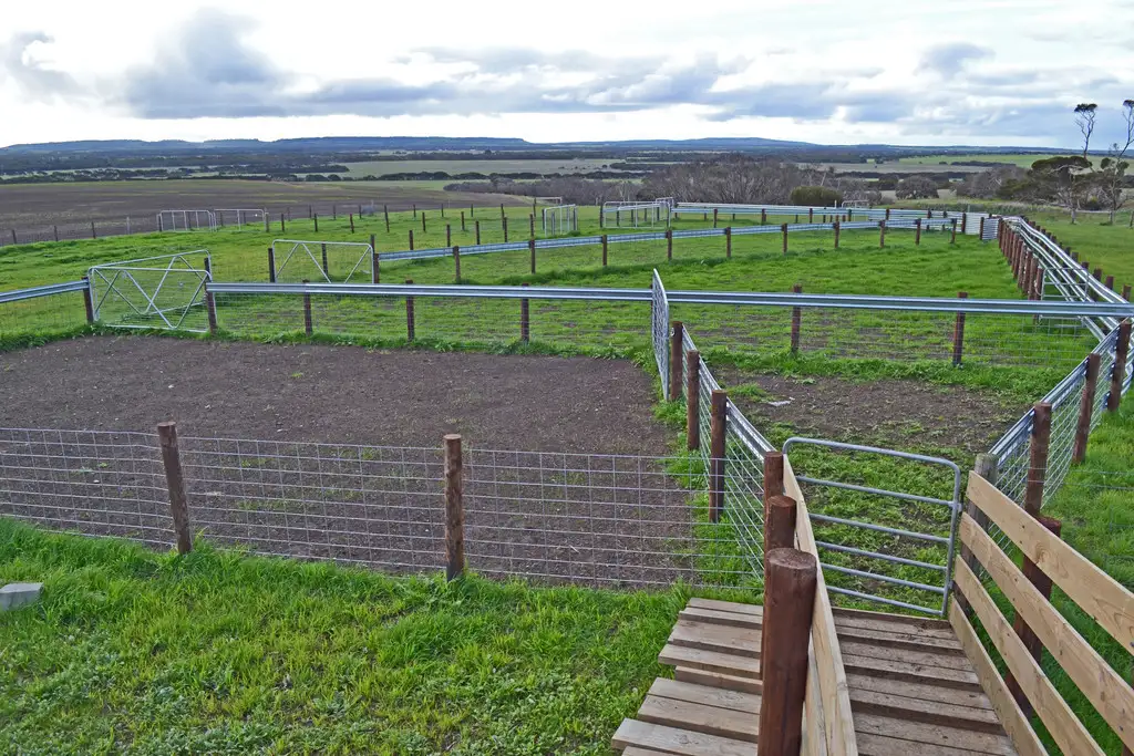 Main view of Homely rural property listing, Section 30 Starrs Road, Macgillivray SA 5223