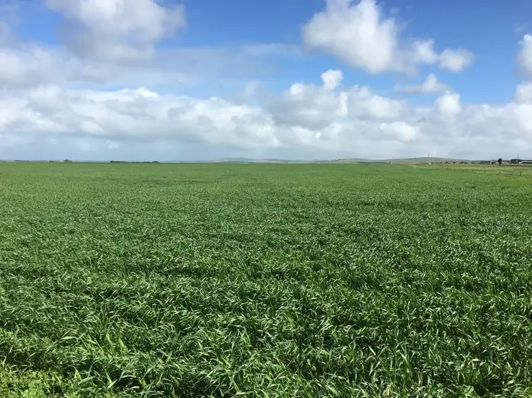 Second view of Homely land listing, Lot 1 Mine Hill Road, Tumby Bay SA 5605