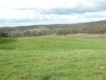 Third view of Homely rural property listing, 699 Taylors Flat Road, Boorowa NSW 2586