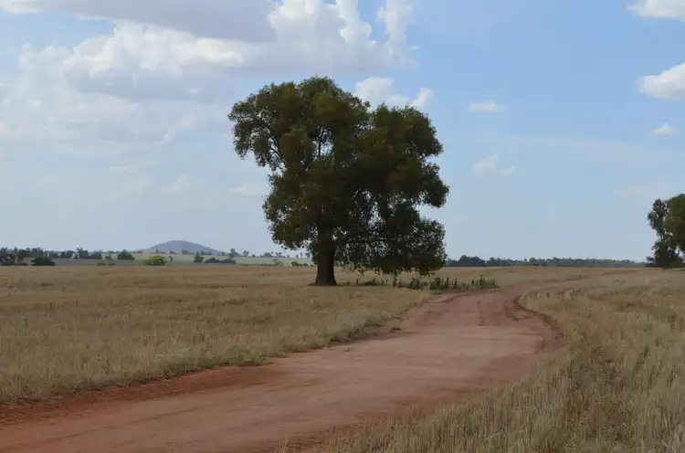 Fifth view of Homely rural property listing, 640 Burley Griffin Way, Ardlethan NSW 2665