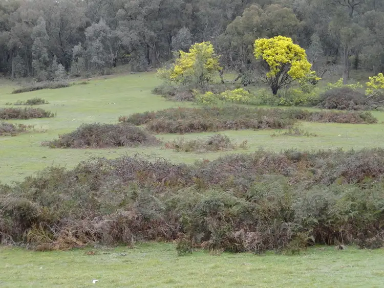 Fifth view of Homely rural property listing, 724 Yenschs Road, Lankeys Creek NSW 2644