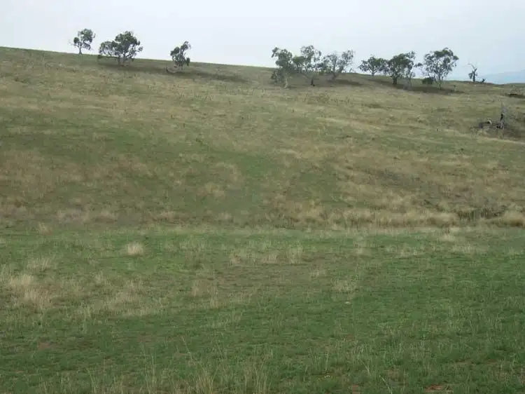 Third view of Homely rural property listing, 508 PARISH BOUNDARY LANE VIA OMEO, Hinnomunjie VIC 3898