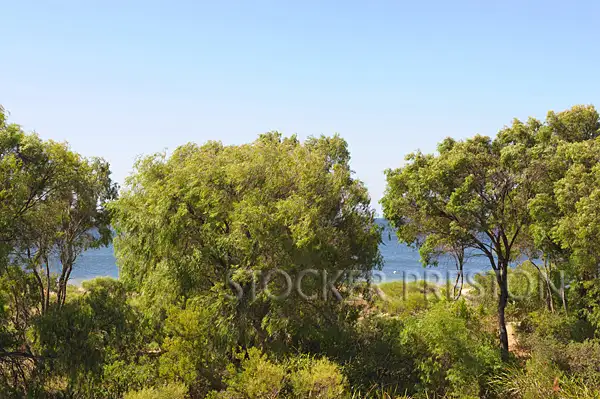 Seventh view of Homely house listing, 462 Geographe Bay Road, Quindalup WA 6281