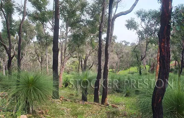 Fifth view of Homely land listing, Lot 39 Nukklgup Loop, Yallingup WA 6282