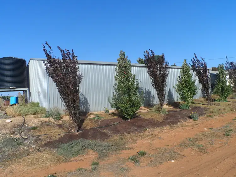 Sixth view of Homely land listing, 283 Kibby Road, Loxton SA 5333