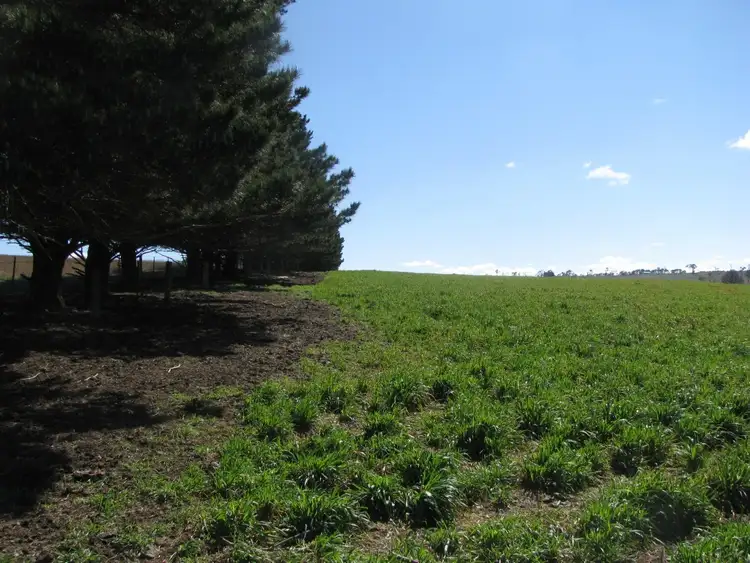 Fifth view of Homely rural property listing, 380 Elliots road, Armidale NSW 2350