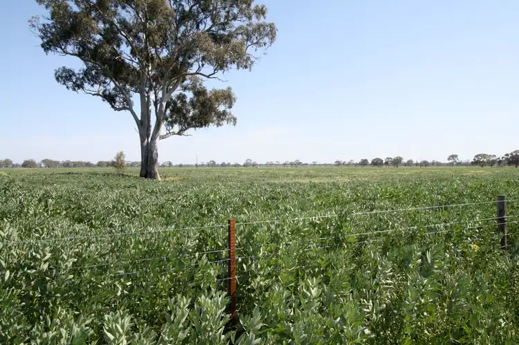 Main view of Homely rural property listing, Lot 56* Pondham Road, Hynam SA 5262