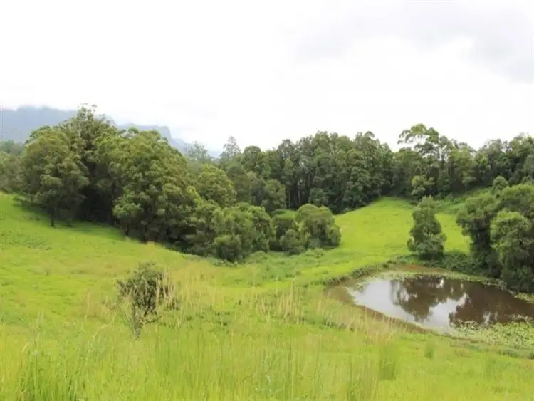 Seventh view of Homely rural property listing, 7/929 Blue Knob Road, Blue Knob NSW 2480