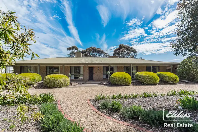 Second view of Homely house listing, 25 Ronda Avenue, Roseworthy SA 5371