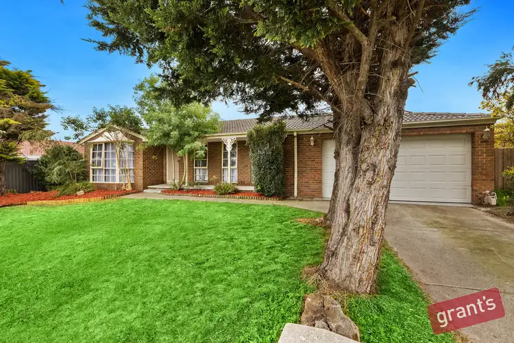 13 Hyssop Drive, Hallam VIC 3803