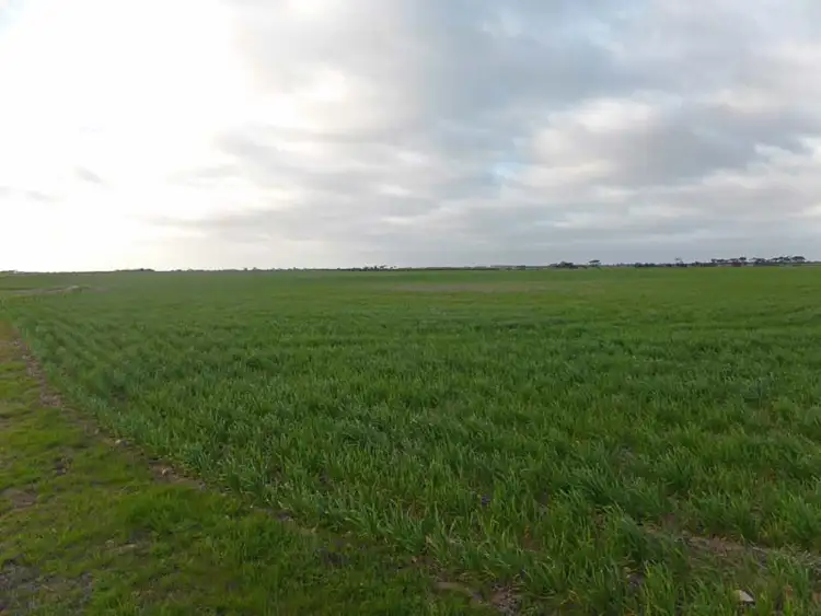 Second view of Homely rural property listing, 571 Kangaroo Road, Langhorne Creek SA 5255