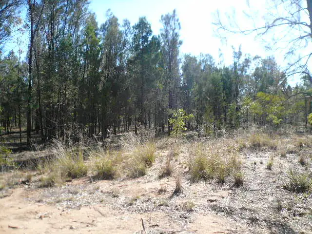 Third view of Homely rural property listing, 291 FORESTRY ROAD, Weranga QLD 4405